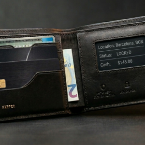 SecureWallet Pro